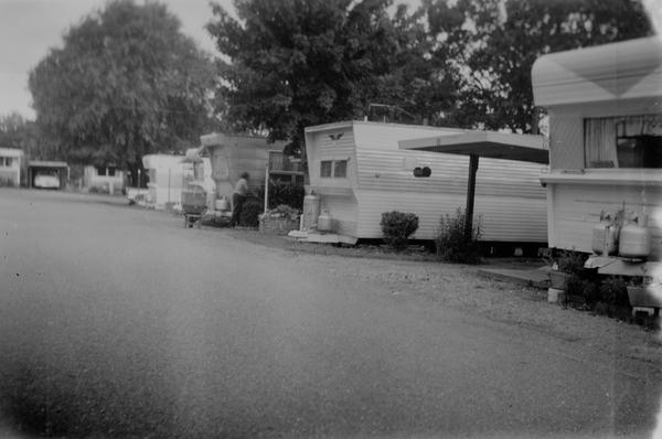 album Verichrome Pan (type 116)